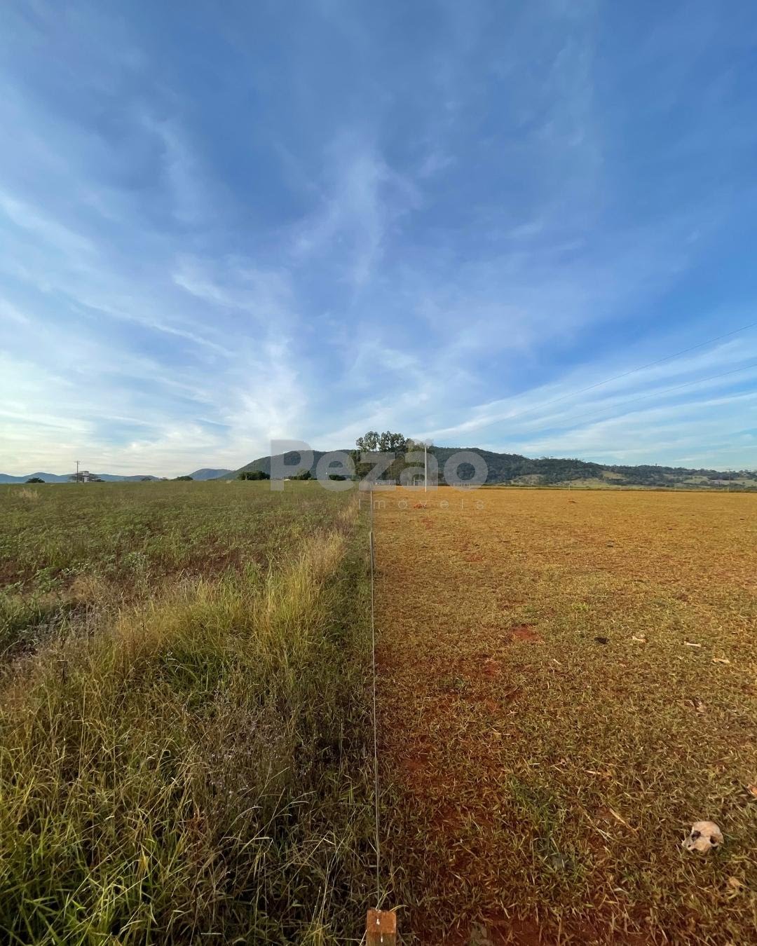 Rural à venda com 150040m² de terreno no Zona Rural de Heitoraí, Heitoraí (GO) — foto 4 de 20