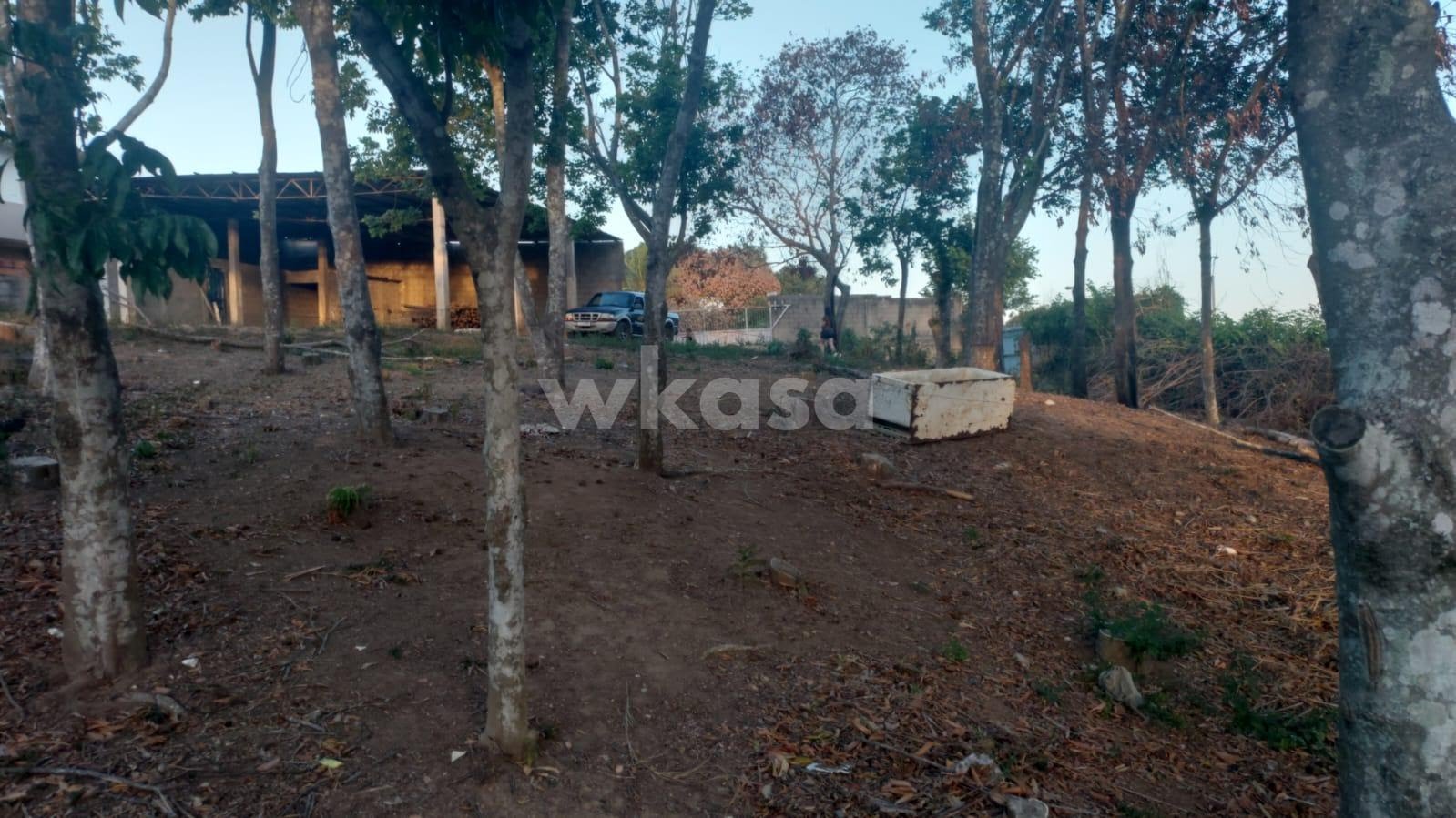 Terreno à venda no Direção, Fundão (ES) — foto 11 de 15