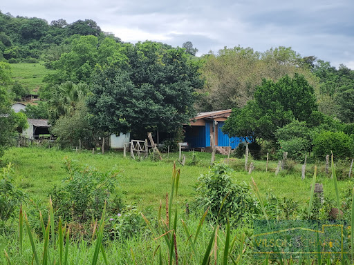 Sítio em Guarda Velha  -  Santo Antônio da Patrulha