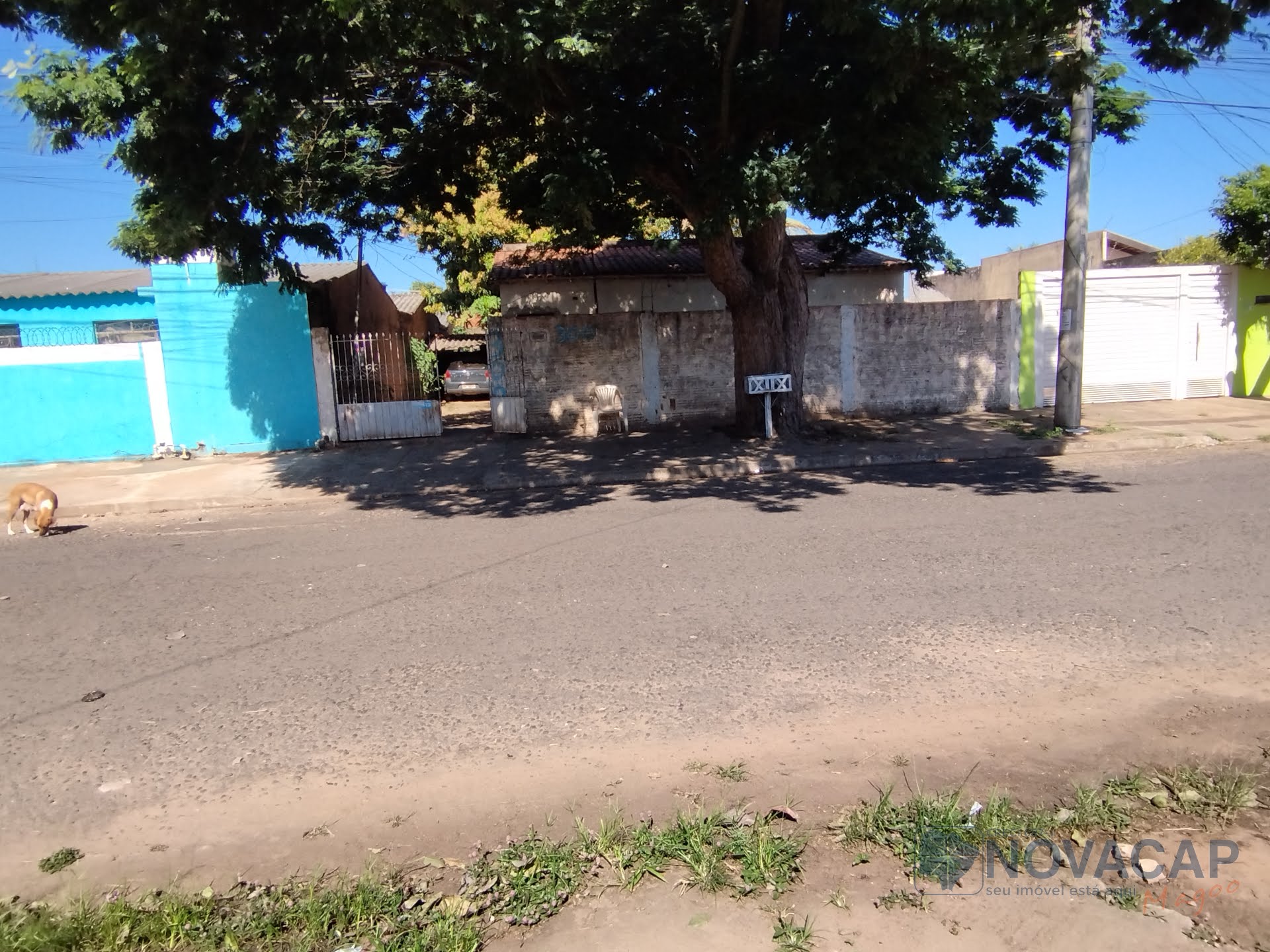 Frente 