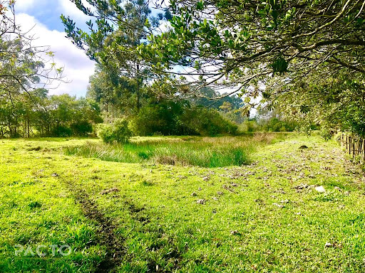 Casa em Jardim das Avenidas  -  Araranguá