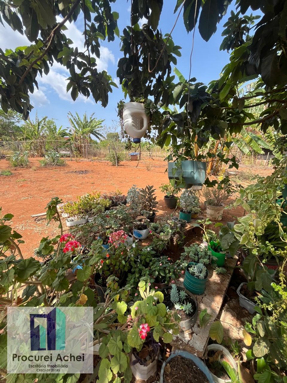 Rural à venda com 5000m² de terreno no Rajadunha I, Brasília (DF) — foto 11 de 21