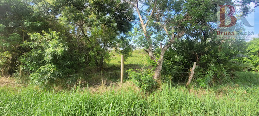 Lote / Terreno em Várzea Alegre  -  Guapimirim