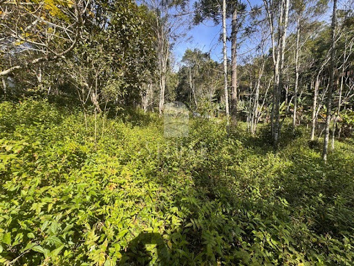 Foto 06