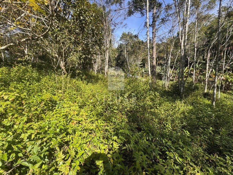 Foto 06