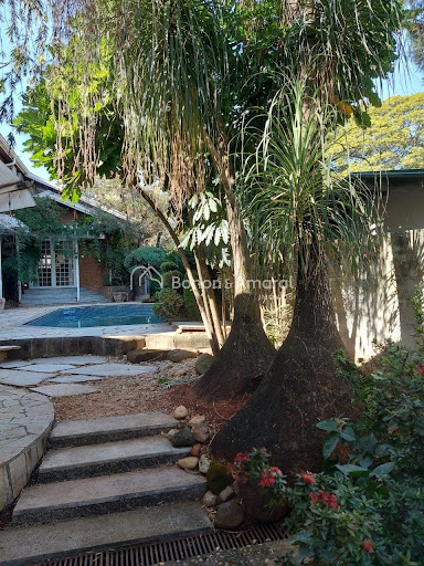 Casa, 4 quartos, 390 m² - Foto 35