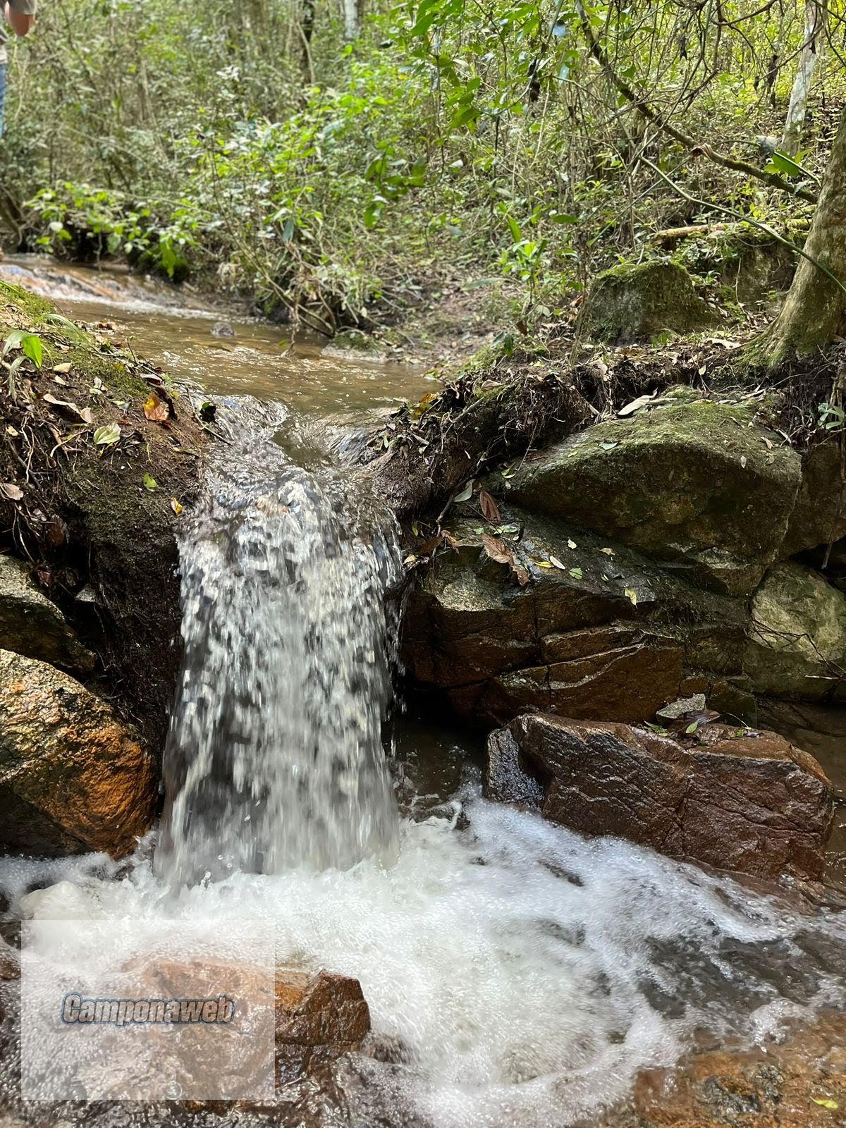 Área agrícola à venda Rio Grande do Sul
