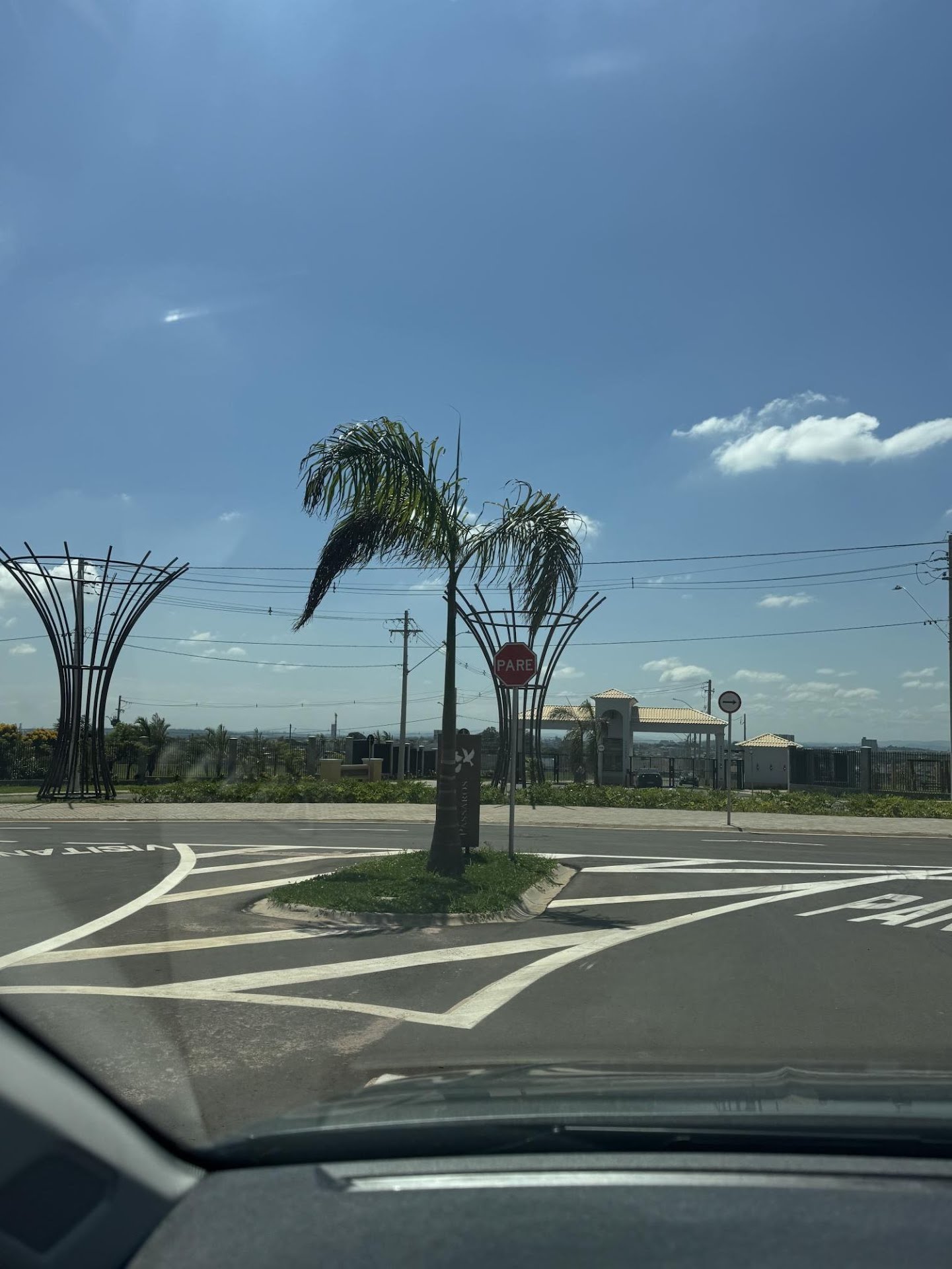 IMG_0636.jpeg