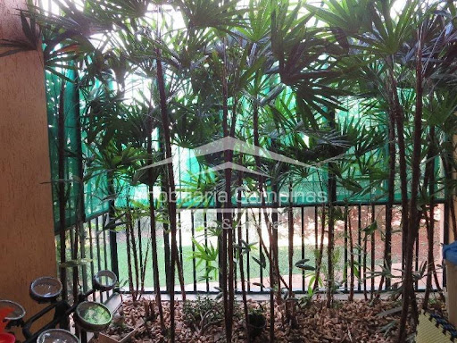 Casa, 4 quartos, 458 m² - Foto 14