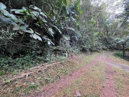 Foto 04