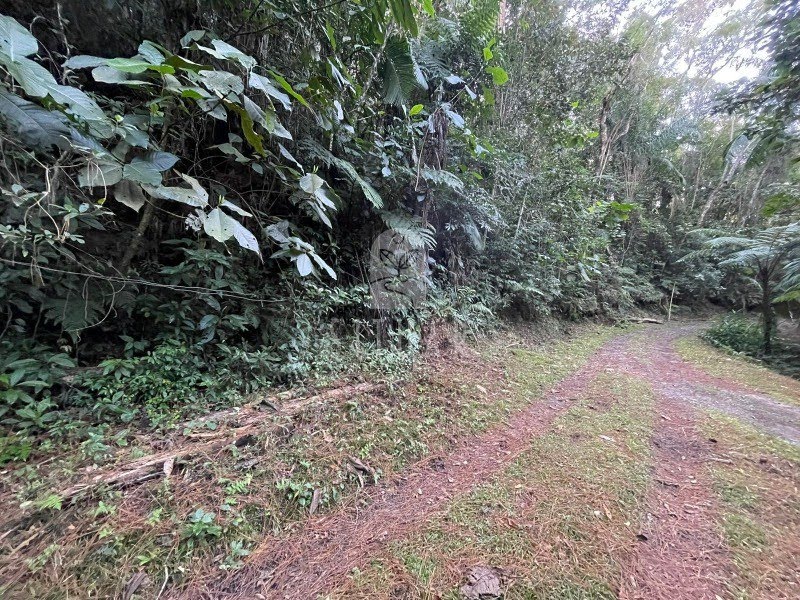 Foto 04