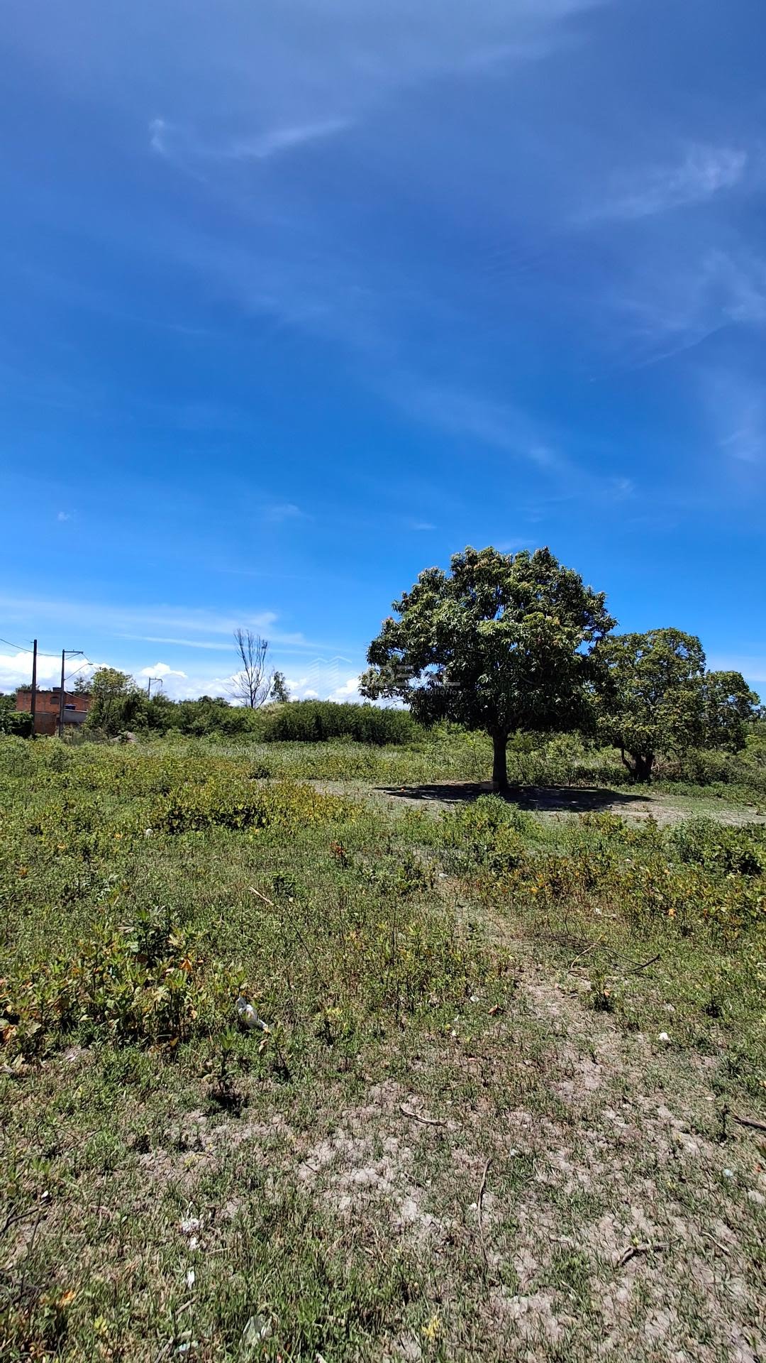 Rural à venda com 33000m² de terreno no Vila Manhães, Campos dos Goytacazes (RJ) — foto 7 de 10