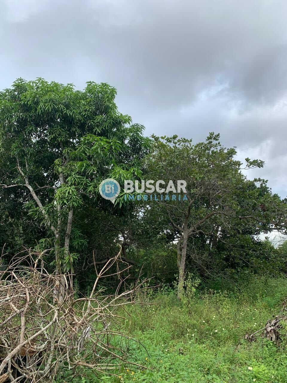 Rural à venda com 40000m² de terreno no Sim, Feira de Santana (BA) — foto 5 de 7