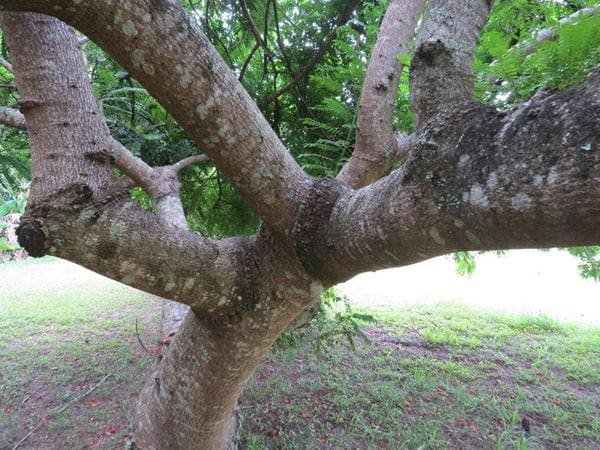 Rural à venda com 45000m² de terreno no Vargem Pequena, Florianópolis (SC) — foto 18 de 28