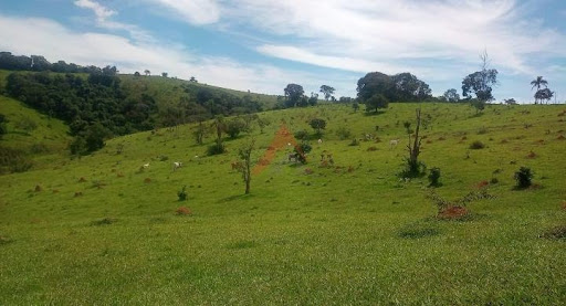 Sítio 7 alqueires em  Ouro Fino/MG