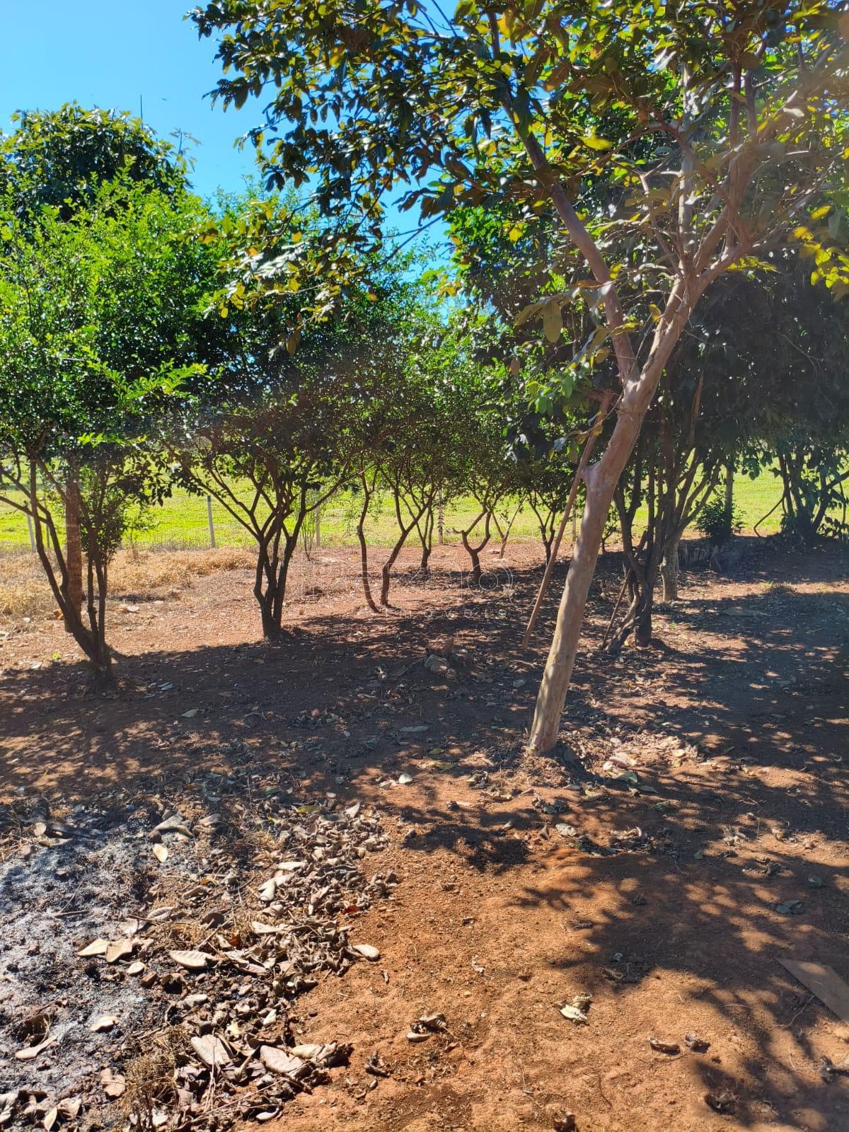 Chácara - Foto 12