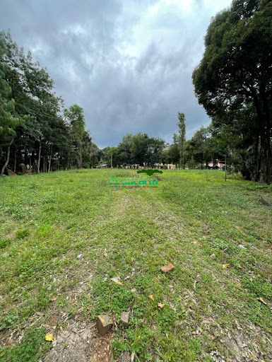 Foto 06