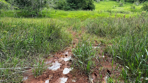 Terreno à venda em Santa Cruz - Periquito por R$ 850 mil