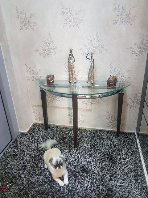 Foto 11