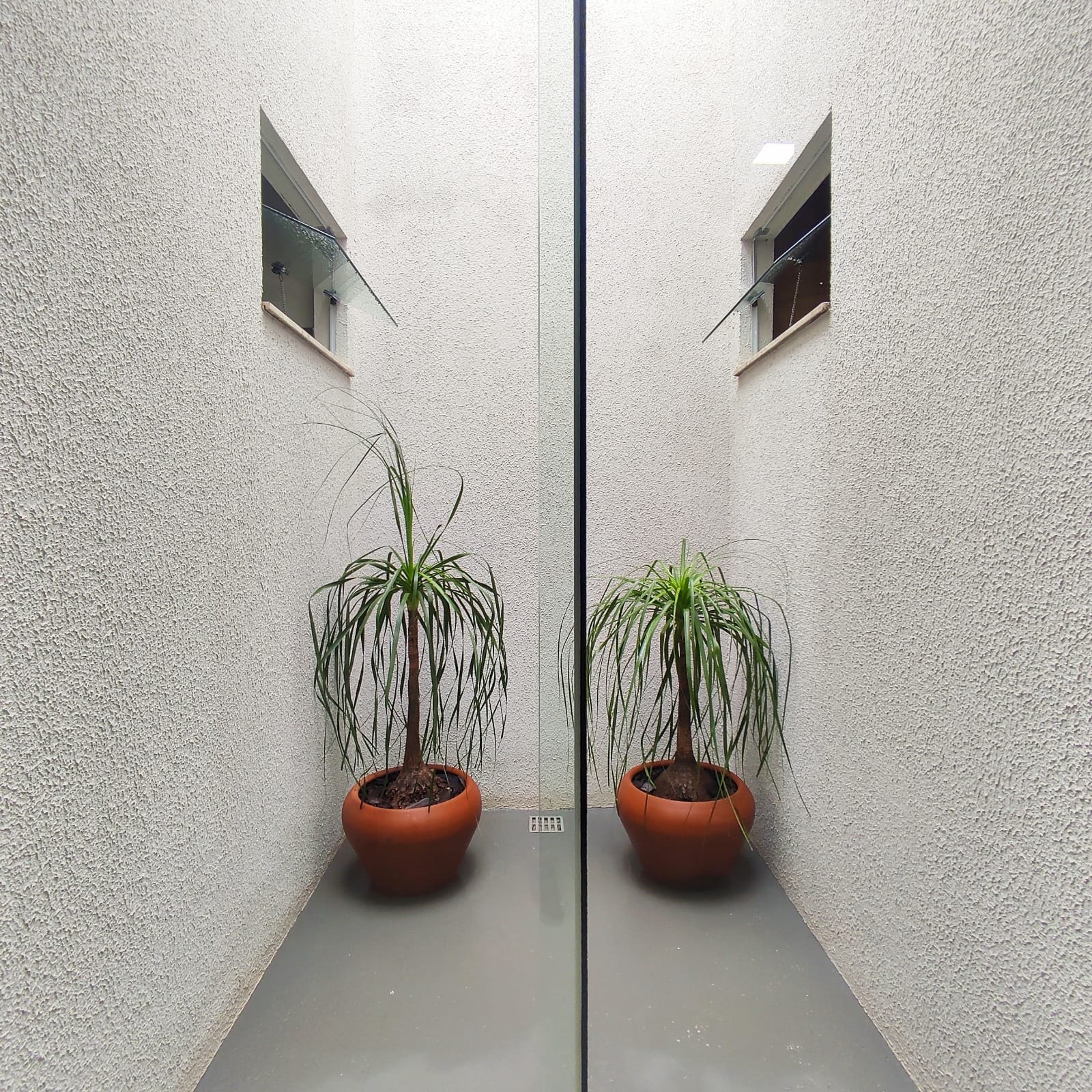 Casa à venda com 3 quartos, 1 suíte, 2 vagas e 90m² no Jardim dos Ipês, Três Lagoas (MS) — foto 6 de 16