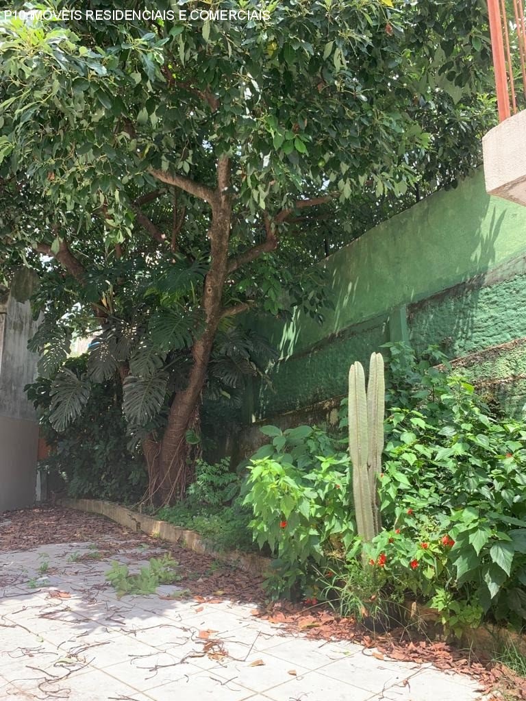 Foto 02