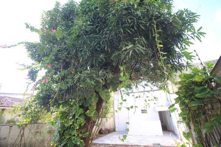 Casa à venda com 4 quartos, 1 banheiro e 90m² no Torre, Recife (PE) — foto 10 de 26