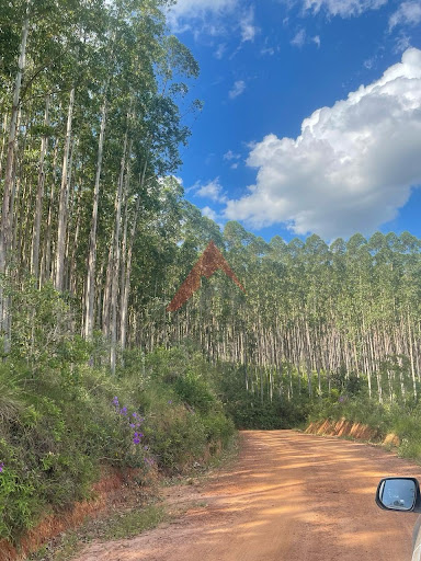 Fazenda em São Vicente de Minas  -  São Vicente de Minas