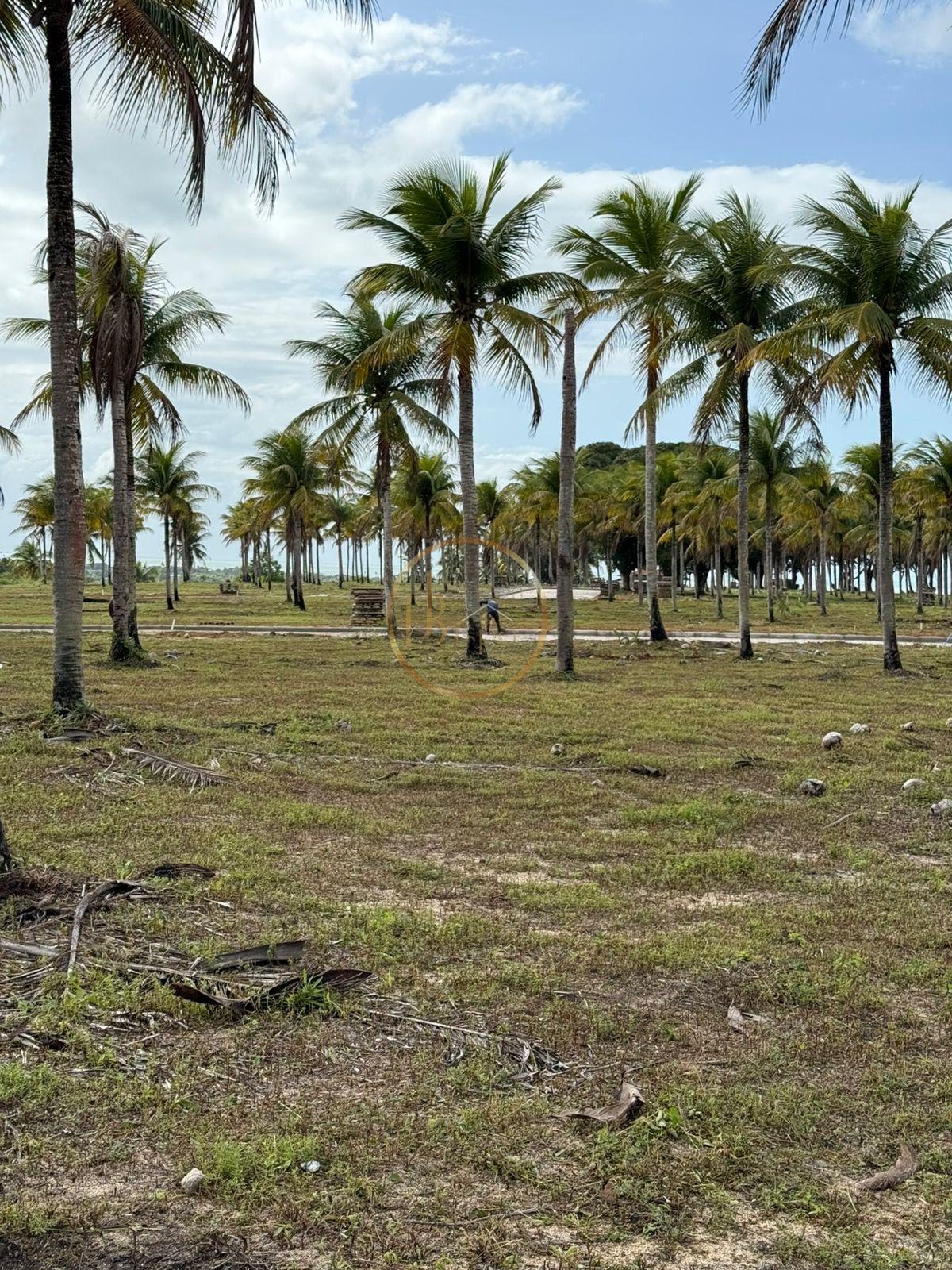 Terreno à venda no Coroa Vermelha, Santa Cruz Cabrália (BA) — foto 7 de 22