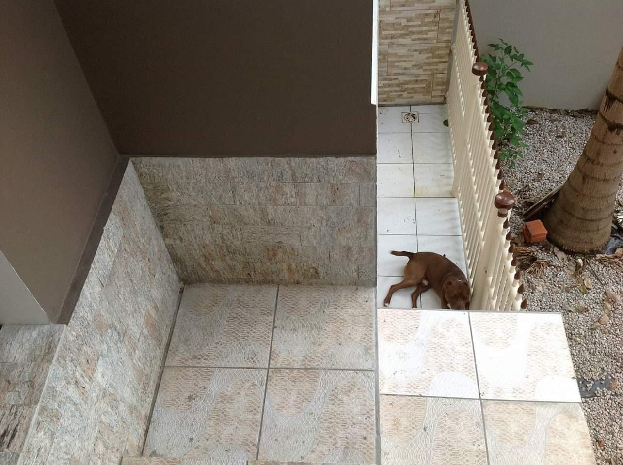 Casa à venda com 3 quartos, 1 suíte, 3 vagas e 230m² no Itoupava Norte, Blumenau (SC) — foto 29 de 30