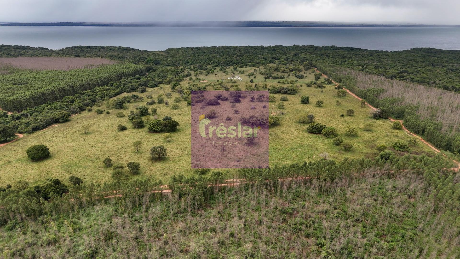 Rural à venda com 710000m² de terreno no Fazenda, Três Lagoas (MS) — foto 4 de 7