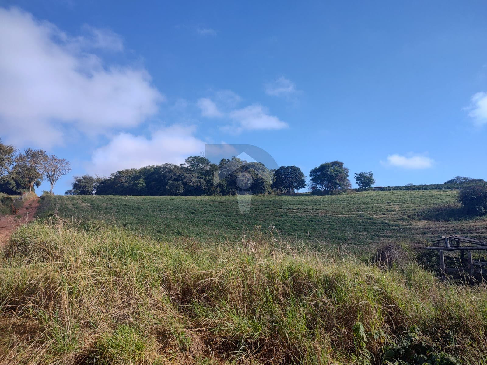 Fazenda, 5 hectares - Foto 19