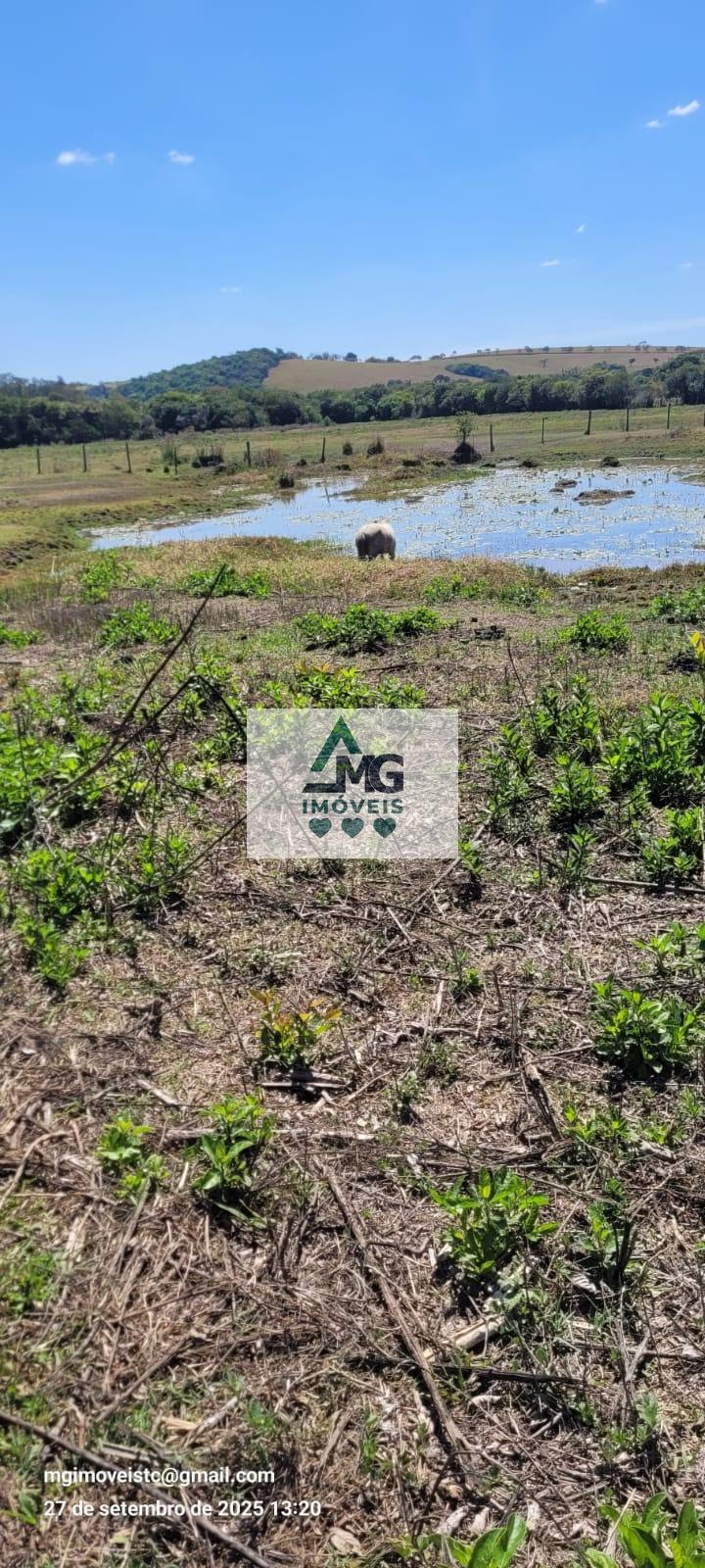 Rural à venda com 20000m² de terreno no Área Rural de Três Corações, Três Corações (MG) — foto 9 de 26