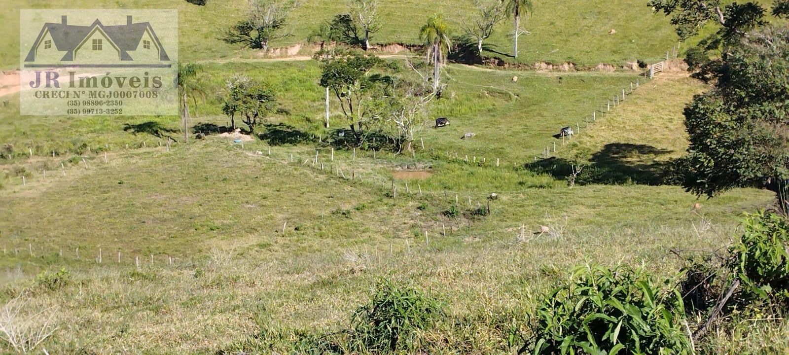 Terreno à venda com 81000m² de terreno no Anhumas, Pedralva (MG) — foto 5 de 5