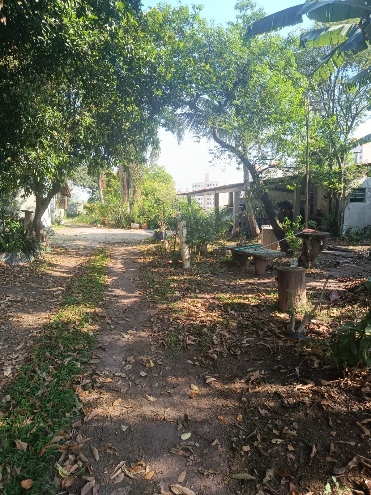 Apartamento à venda no Jardim Mangalot, São Paulo (SP) — foto 12 de 17