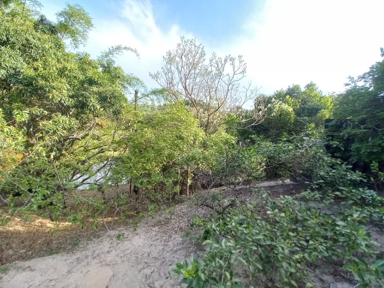 Rural à venda com 6000m² de terreno no Bonanza, Santa Luzia (MG) — foto 29 de 30