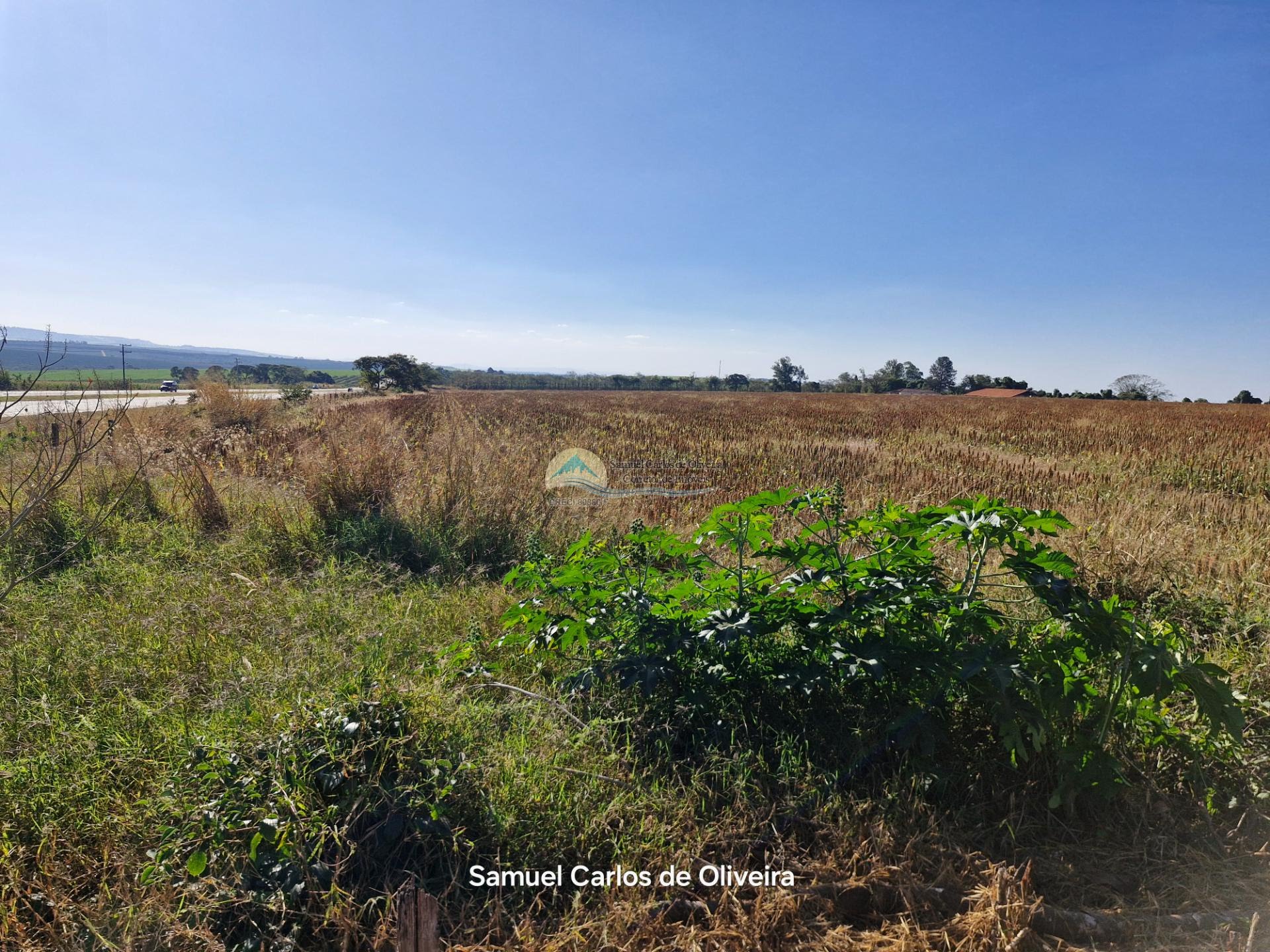 fazenda a venda em casa branca