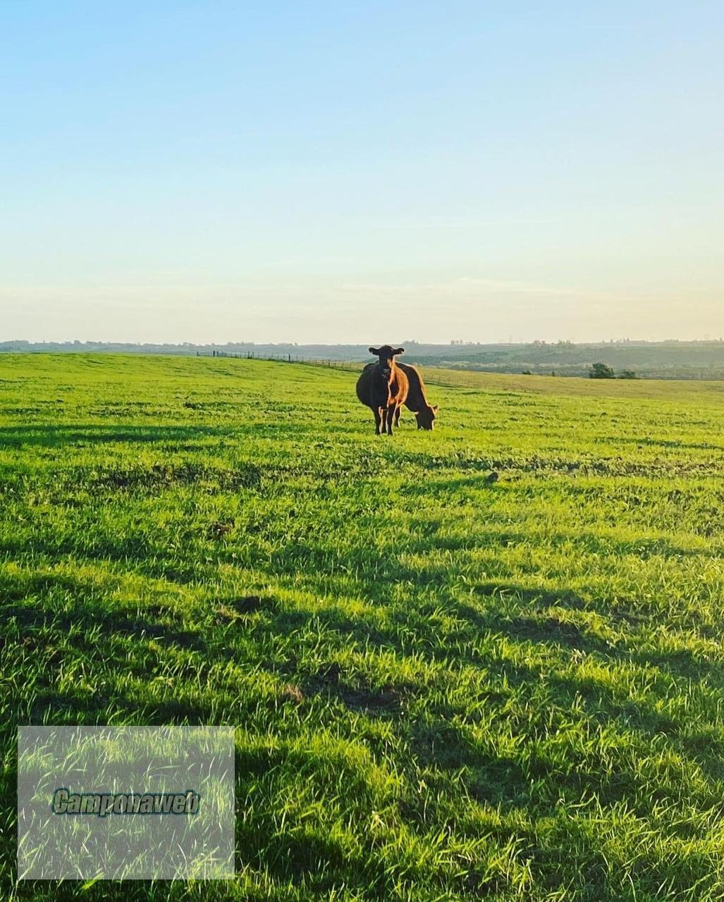 Investimento em fazenda rural