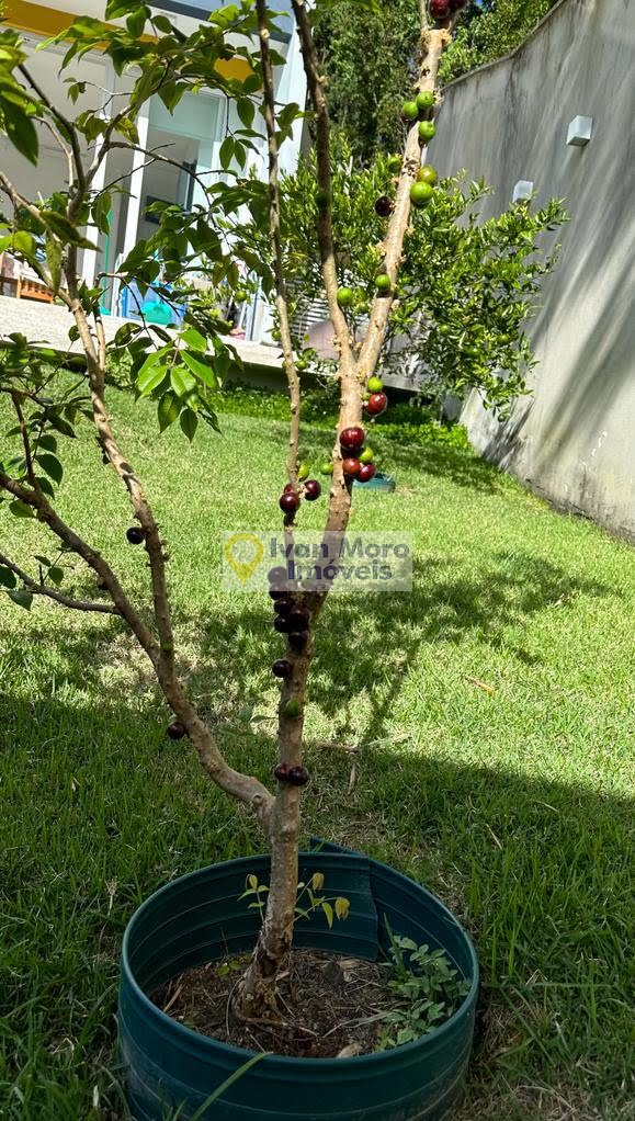 Casa à venda com 2 quartos, 1 suíte, 2 vagas e 97m² no Daniela, Florianópolis (SC) — foto 10 de 30