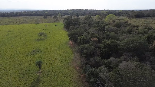 Fazenda em Zona Rural  -  Rochedo