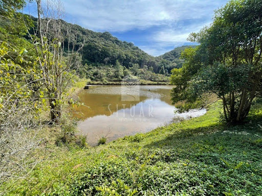 Foto 01