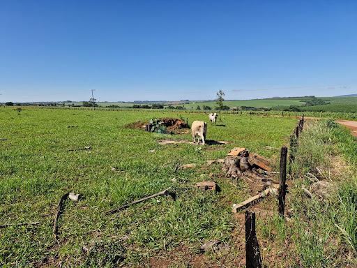 Área Industrial a venda em Casa Branca SP