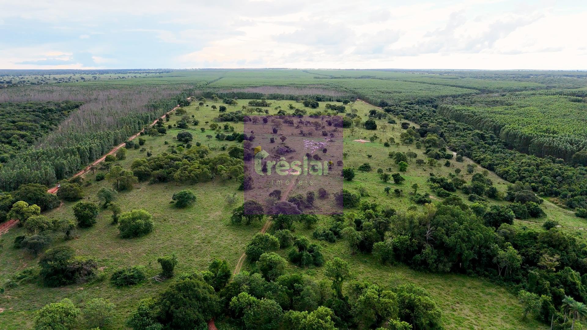 Rural à venda com 710000m² de terreno no Fazenda, Três Lagoas (MS) — foto 5 de 7