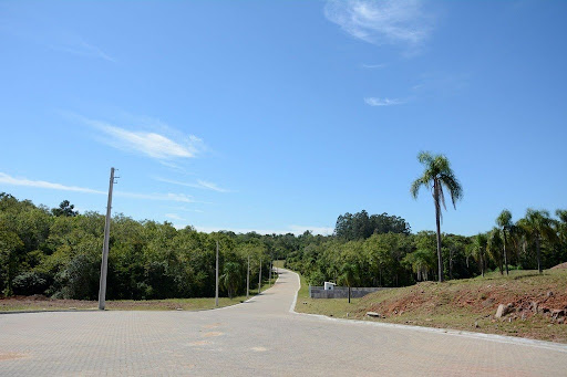 Parque das Palmeiras (1).jpg