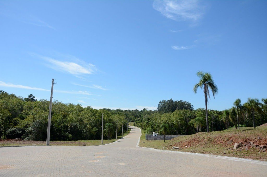 Parque das Palmeiras (1).jpg