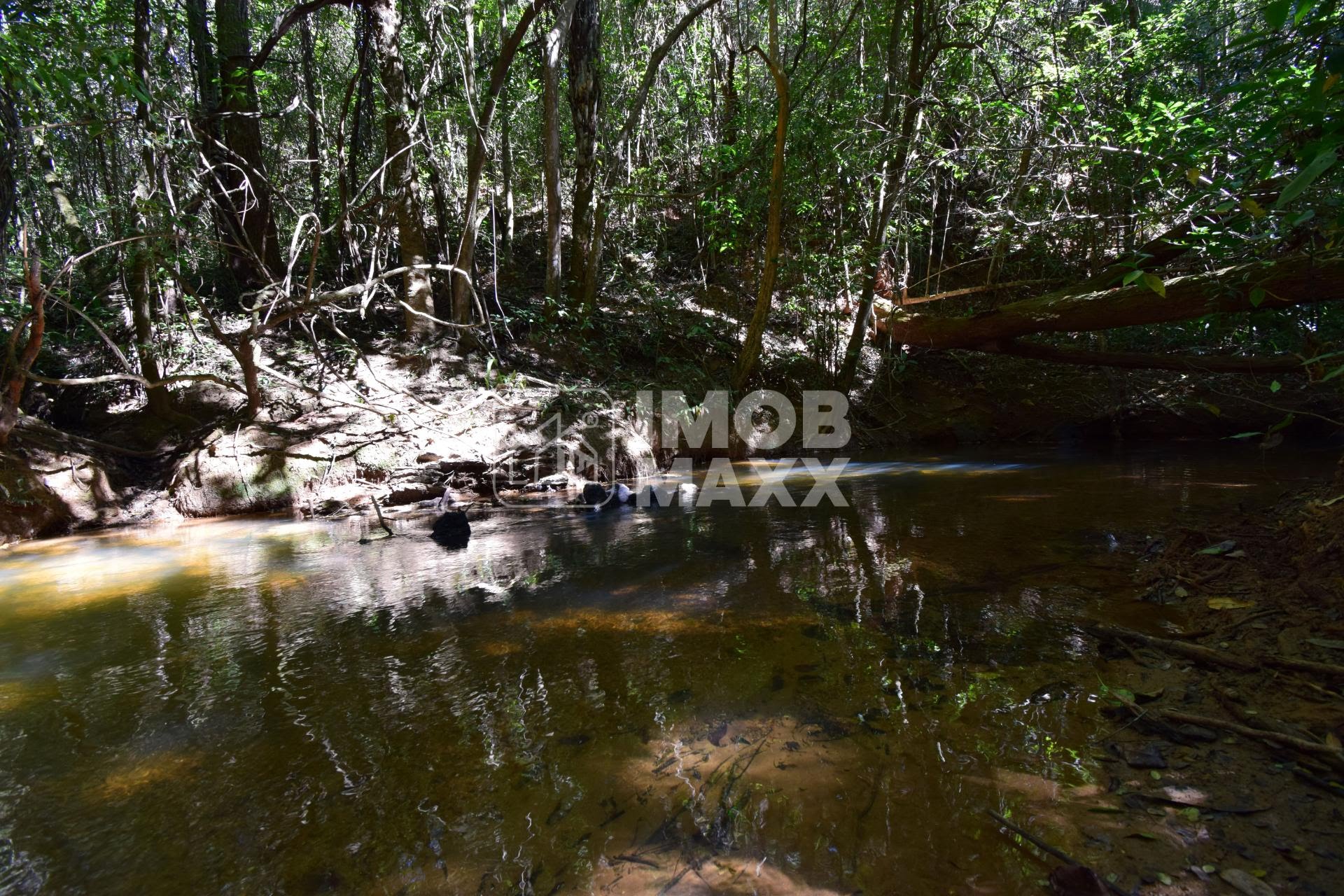 Chácara, 5 quartos, 5 hectares - Foto 44