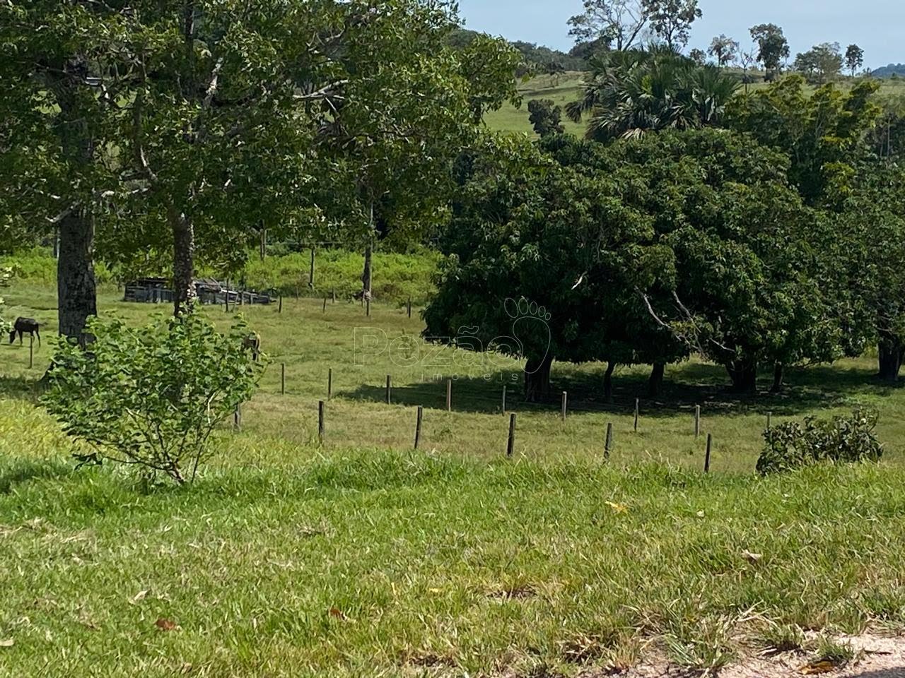 Rural à venda no Zona Rural, Itapuranga (GO) — foto 10 de 18