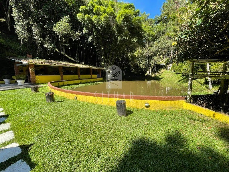 Foto 06