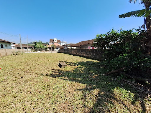 Olhando dos fundos do terreno para a frente 