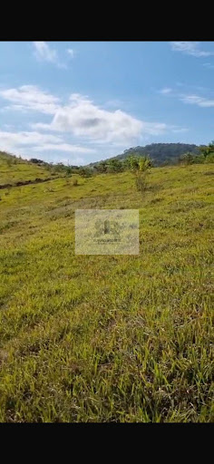 Sítio em Zona Rural de Cataguases  -  Cataguases
