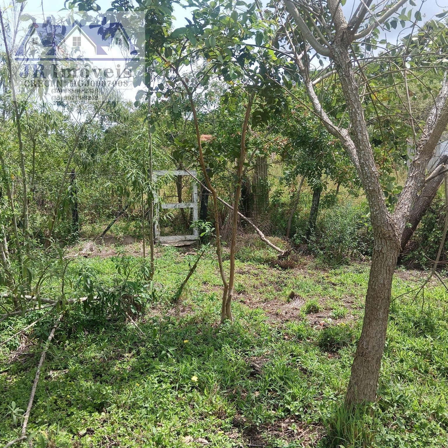 Terreno à venda com 3000m² de terreno no Carneiros, Piranguinho (MG) — foto 8 de 21